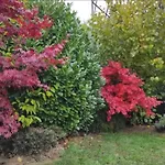 Sarajevo Hill Garden