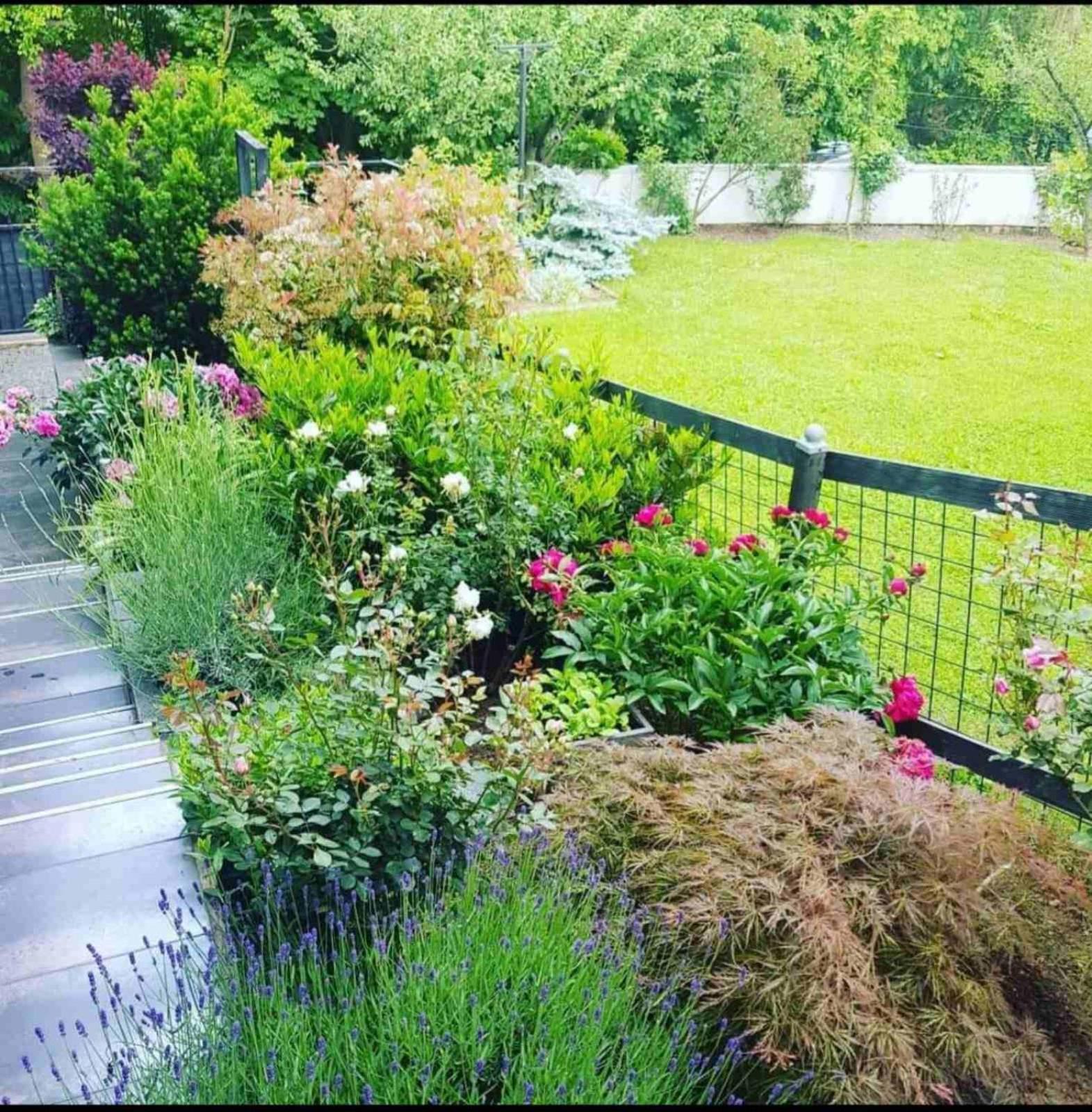 Hill Garden Apartment *