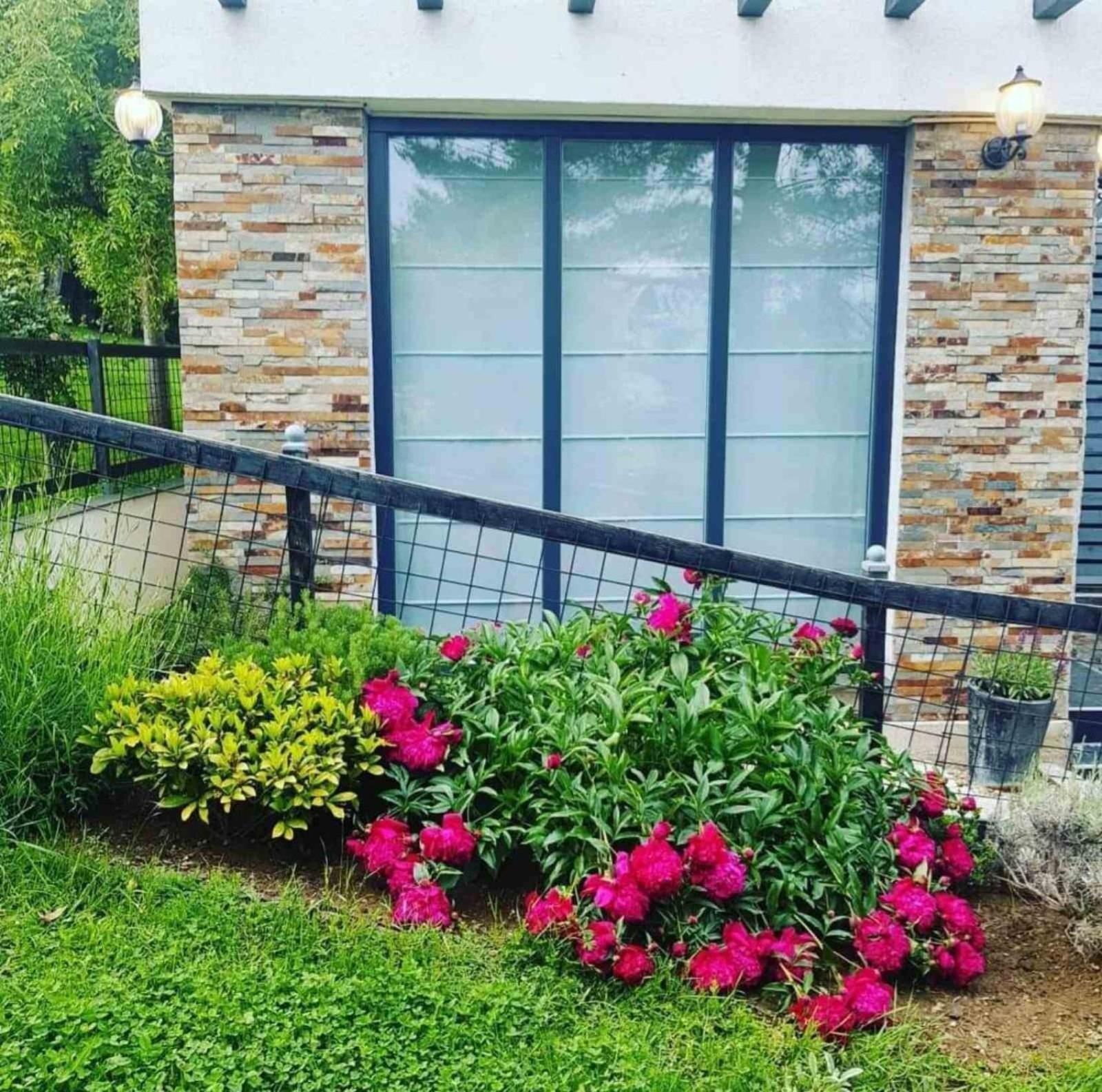 Apartment Hill Garden