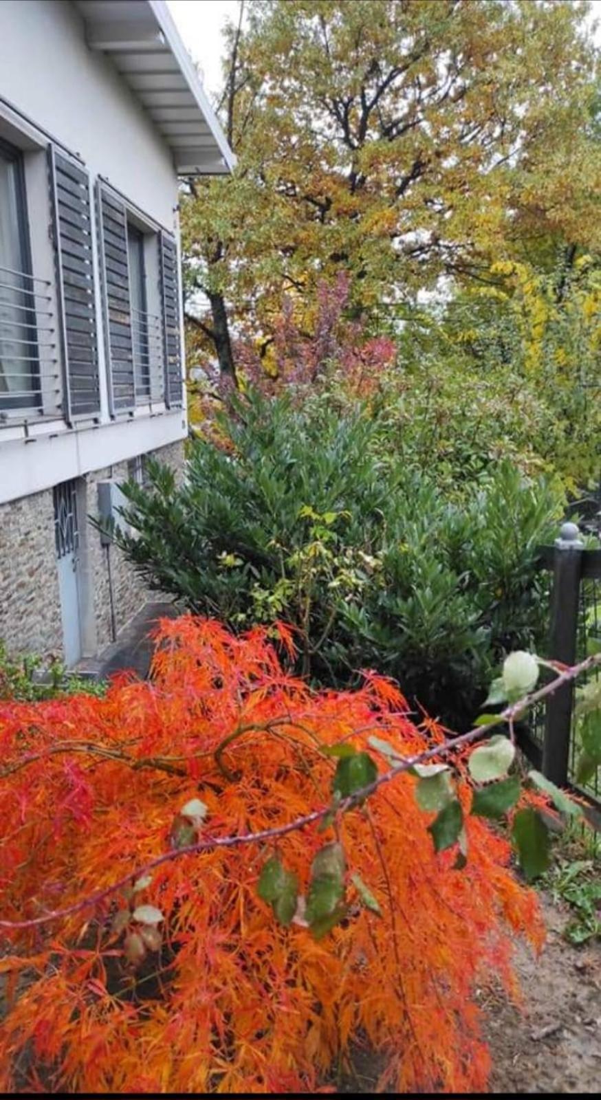 Hill Garden