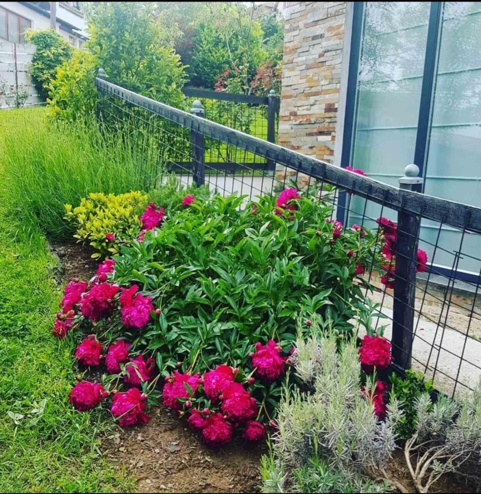 Hill Garden * Sarajevo