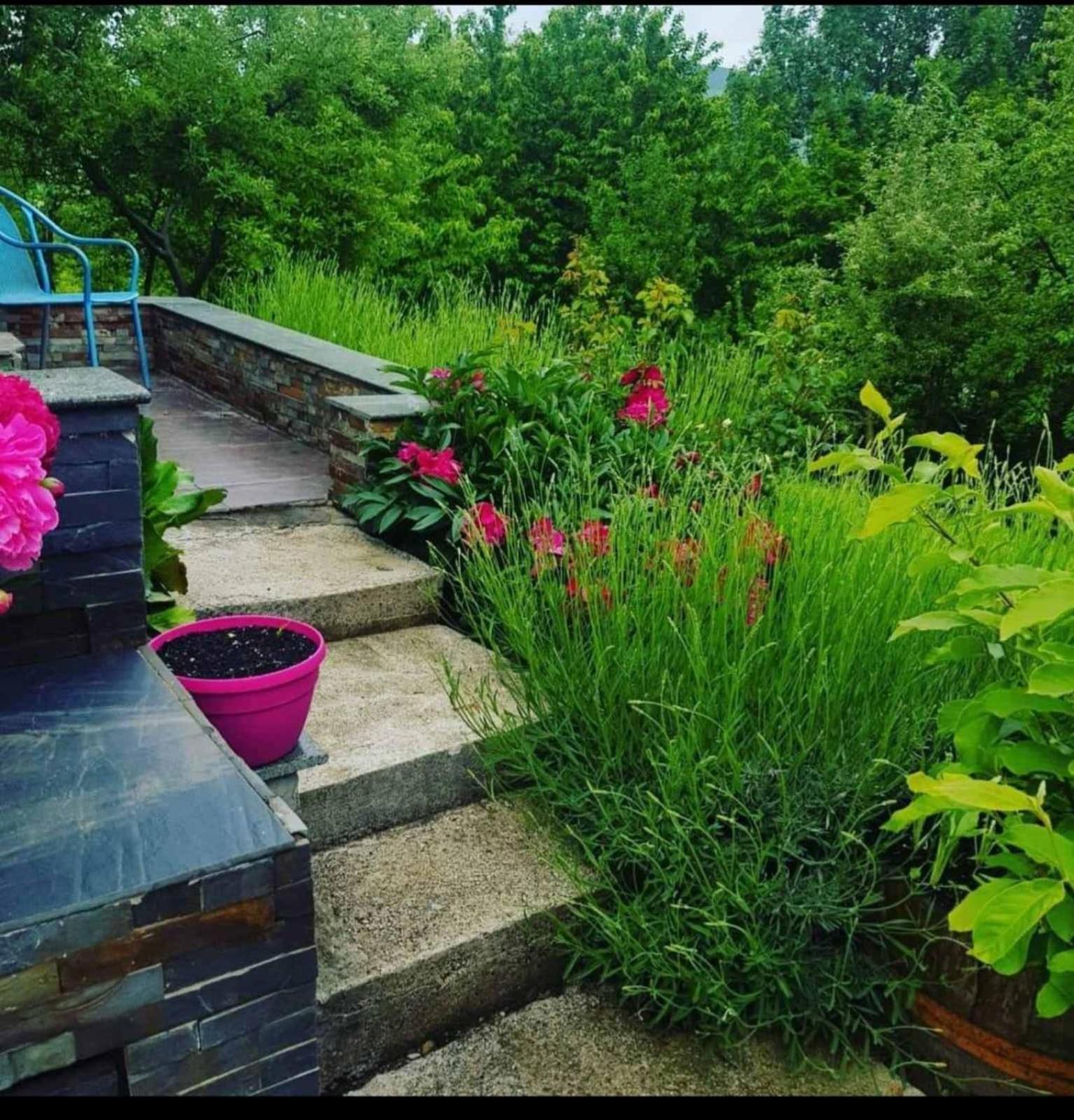 Apartment Hill Garden